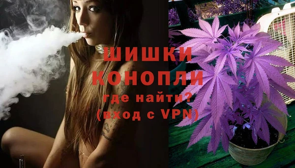 ПСИЛОЦИБИНОВЫЕ ГРИБЫ Пересвет
