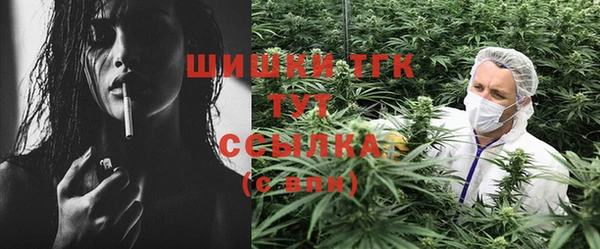 ПСИЛОЦИБИНОВЫЕ ГРИБЫ Пересвет