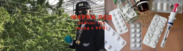 ПСИЛОЦИБИНОВЫЕ ГРИБЫ Пересвет