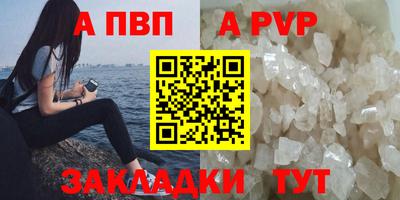 шишки Гатчина