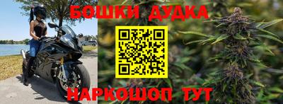 шишки Гатчина