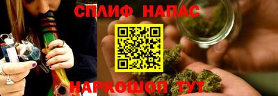 шишки Гатчина