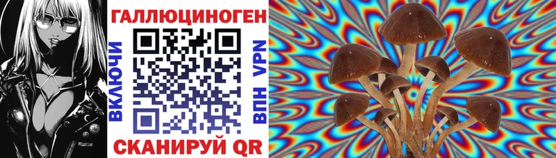 Псилоцибиновые грибы ЛСД  Люберцы 