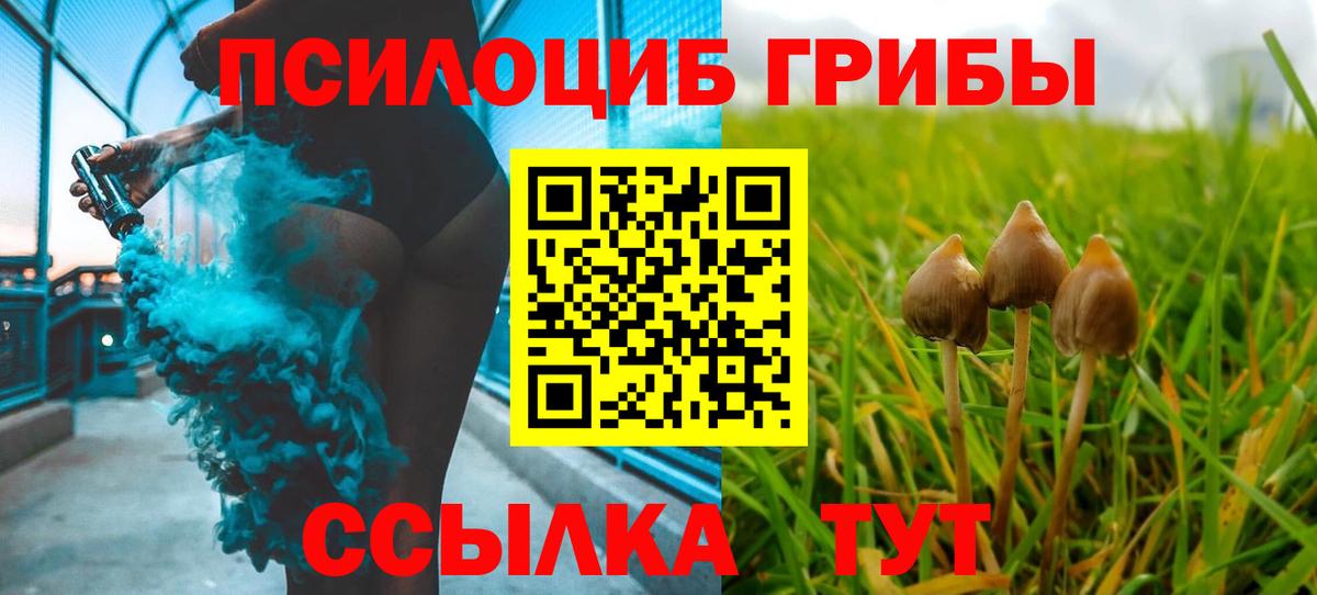 Псилоцибиновые грибы ЛСД  Галлюциногенные грибы Psilocybine cubensis  Люберцы  Вход с VPN 